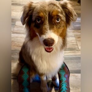 Meet your Posher, Coastal Cowgirl Couture